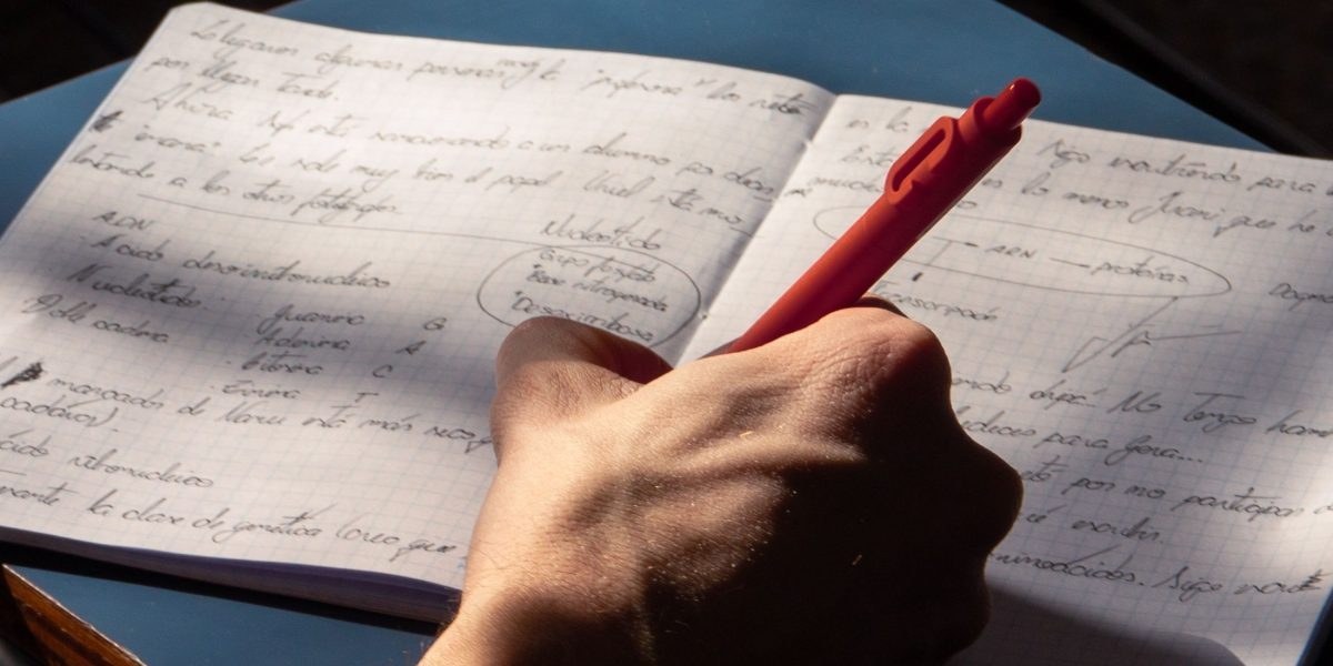 Person studying with a laptop and notes in a sunlit workspace
